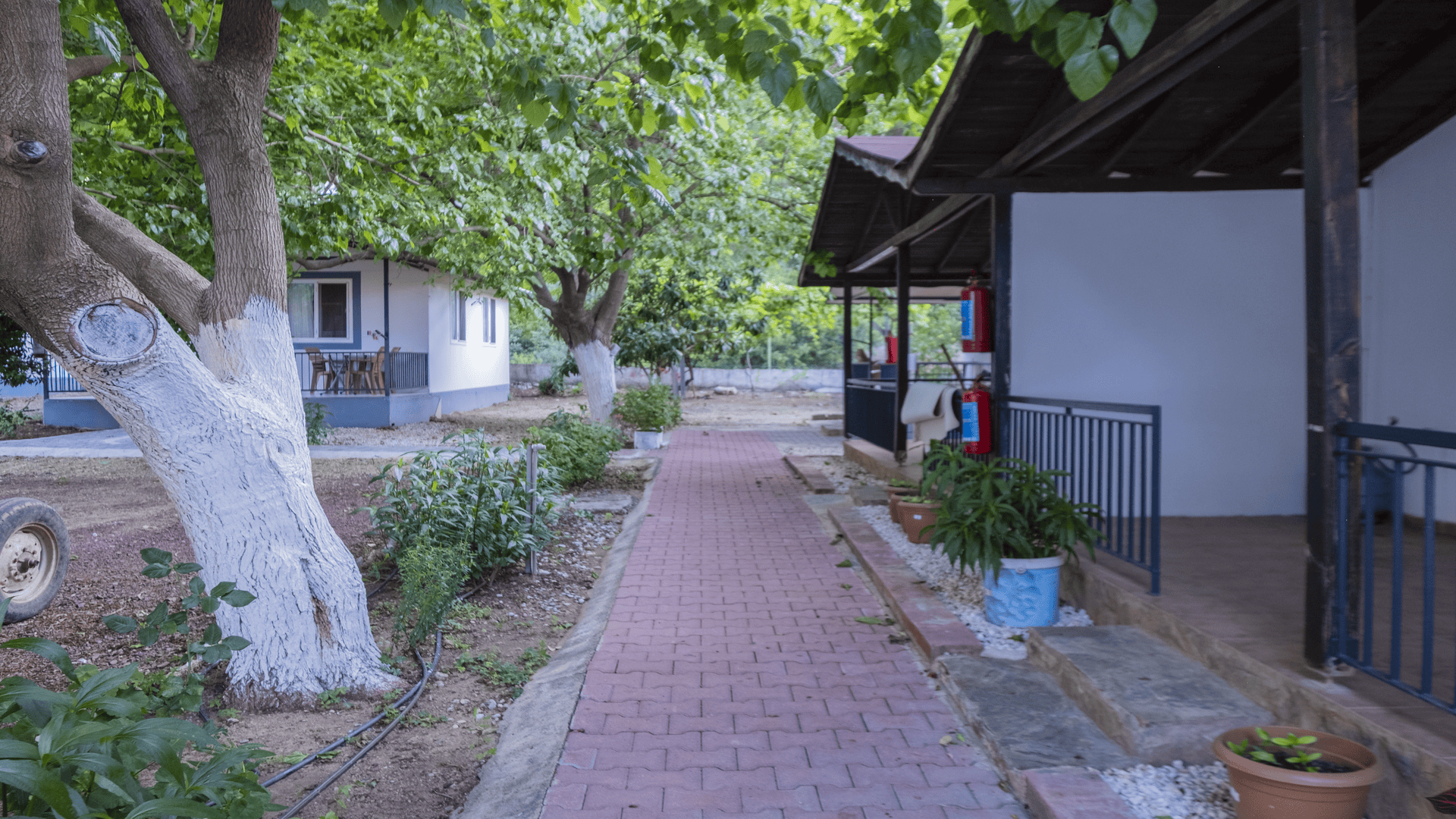 Doğanın Huzuru